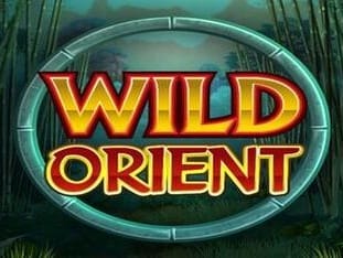 Wild Orient icon